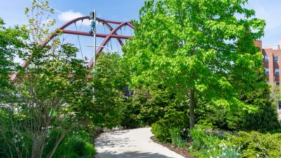 A sunny path winds through lush green trees and plants near a red arched bridge.