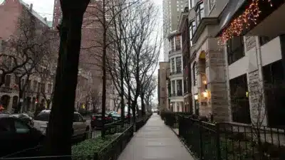 Tree-lined sidewalk along a quiet Chicago residential street with historic homes and holiday lights.