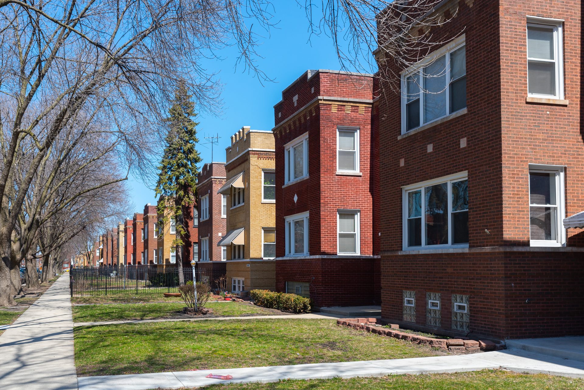A row of classic Chicago brick two-flats along a tree-lined residential street.